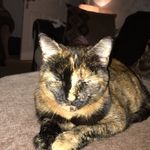 Pepper Marshall - @peppermarshall2007 - Instagram