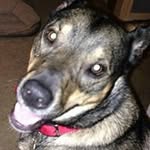 Marshall Pierson - @marshallpierson - Instagram