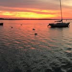 Marshall Pollack - @pollackmarshall - Instagram