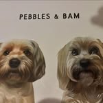 Amy Marshall Pollard - @amymarshallketch - Instagram