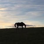 Andrew Marshall-Pollard - @andrewmarshallpollard - Instagram