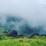 Audrey - @marshallramoshns65848 - Instagram