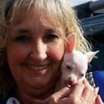 Tonya Marshall Reeves - @tonya_reeves60 - Instagram