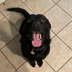 Marshall Richards - @marshall4064 - Instagram