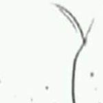 h - @rivers_marshall_ - Instagram