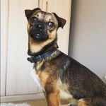 Marshall - @_marshall_simmons_ - Instagram