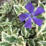 @marshallsimpsonow - Instagram