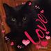 Marshall Singleton - Facebook