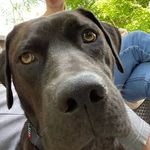 Marshall Reginald Stanley - @goodboymarshmallow - Instagram