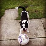 Marshall - @marshallstanton215 - Instagram