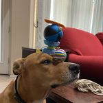 Marshall Stanton - @marshall.stanton_ - Instagram