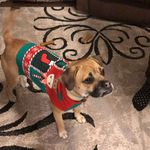 marshall stanton - @marshall45.7 - Instagram