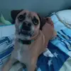 Marshall.Stanton - @marshall.stanton - TikTok