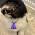 Marshall D. Stern - @badcamby - Instagram