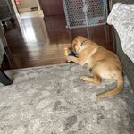 @marshallstrongpoole - Instagram