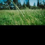 @marshallsuttonuh - Instagram