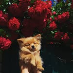 @sutton.marshall.e626 - Instagram