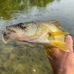 Marshal Talbot - @backcountrymarshal - Instagram