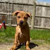 marshall the bordeux - @marshallthebordeaux - TikTok