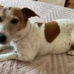 Dorothy Marshall Townsend - @dorothymarshalltownsend - Instagram