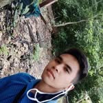 Marshall Sato Trangia - @marshalltrangia - Instagram