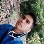 @marshalltrangia143 - Instagram