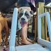 Marshall Waite - Facebook