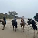 Linda Marshall Washington - @lindamarshallwashington - Instagram