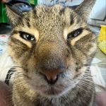 Marshall M. Watkins - @marshall._.watkins - Instagram