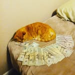 Marshall Watson - @marshall_fn1 - Instagram