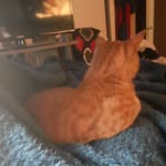 Marshall Watson - @marshall_fn - Instagram