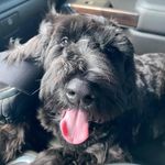 Marshall watts - @marshall_watts_2521 - Instagram