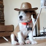 Marshall Dylan Weaver - @texas_marshalldylan - Instagram