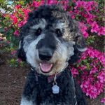 Melinda Marshall-Weaver - @mindyweaver7419 - Instagram