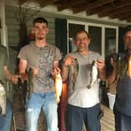 Marshall Webb - Facebook