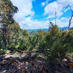 marshall - @marshallwelch41 - Instagram
