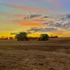 marshall_wells - @marshall_wells - TikTok