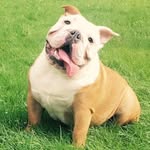 Marshall Wells - @marshallwells_ofig - Instagram