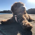 George - @george_wiley_marshall - Instagram