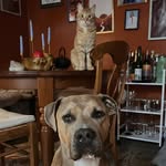 Marshall & Wiley - @marshallandwiley - Instagram