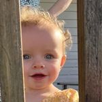 Dianne Marshall Williamson - @diannemarshallwilliamson - Instagram