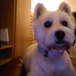 Marshall Williamson - @marshwill13 - Instagram