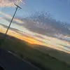 Marshall Williamson - @marshall.williams55 - TikTok
