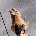 Marshall Womack - @marshall.womack0 - Instagram