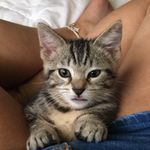 marshall.worth - @marshall_worth - Instagram