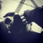 marshall - @marshall_wright.y_boy - Instagram