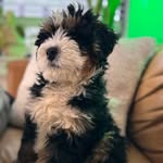 Marshall Wright - @earftomars - Instagram