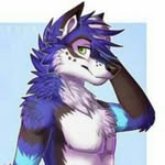Marshall the wusky - @marshallwusky - Instagram