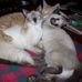 Marshell Johnson - Facebook