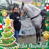 Marta 🥰 - @martaalicea6 - TikTok